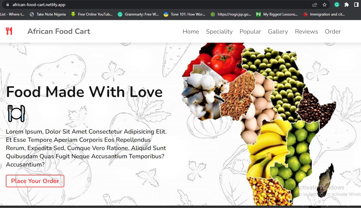 African Food website screenshot
